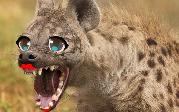 hyena alpha females 915