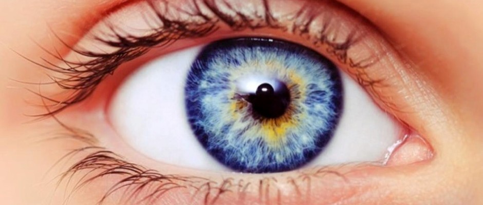 iris bahagian berwarna pada mata