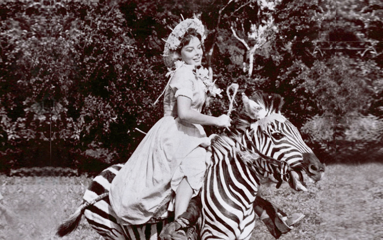 janet munro riding a zebra horse