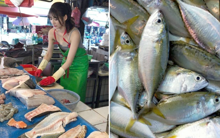 jenis ikan di jual di pasar