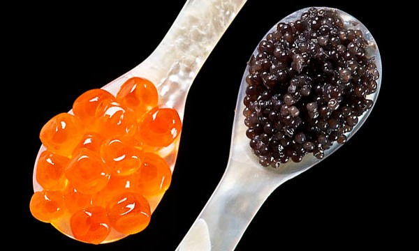 kaviar hitam dan kaviar putih