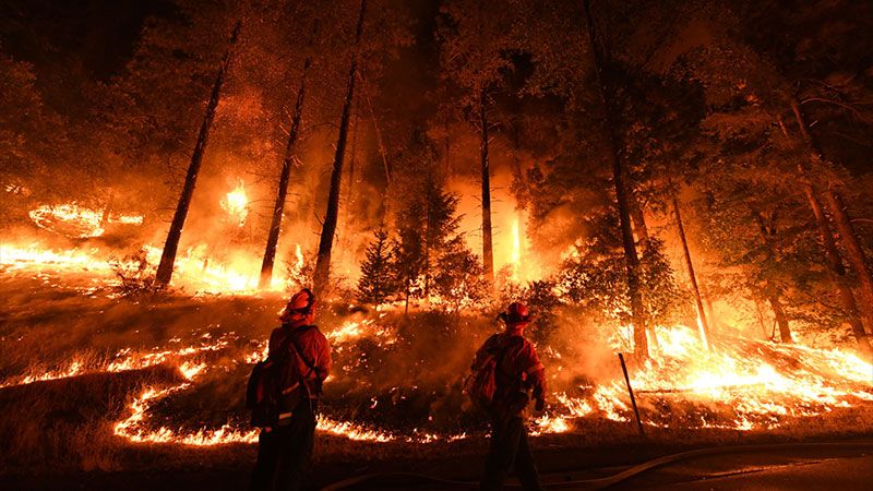 kebakaran hutan akan menjadi perkara biasa jika oksigen di bumi berganda