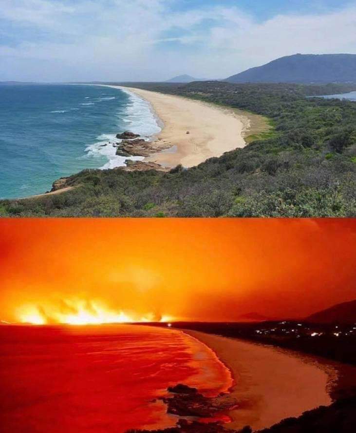 kebakaran hutan di australia 3