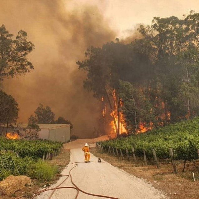 kebakaran hutan di australia av190
