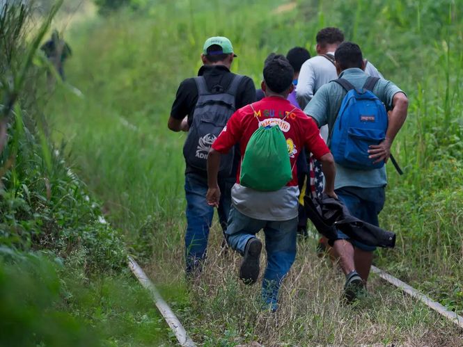 kedatangan migran mexico didakwa curi kerja