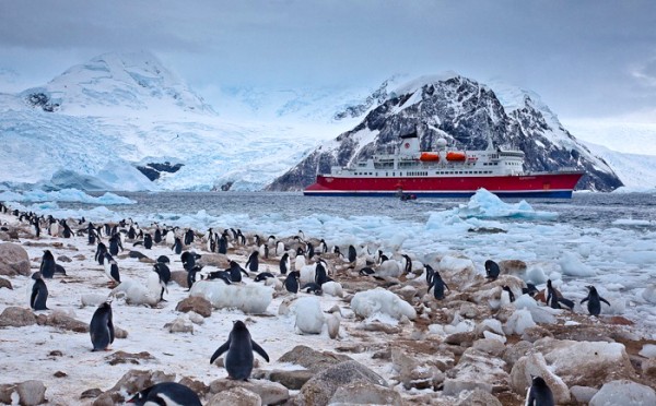 kehidupan di antartika 173