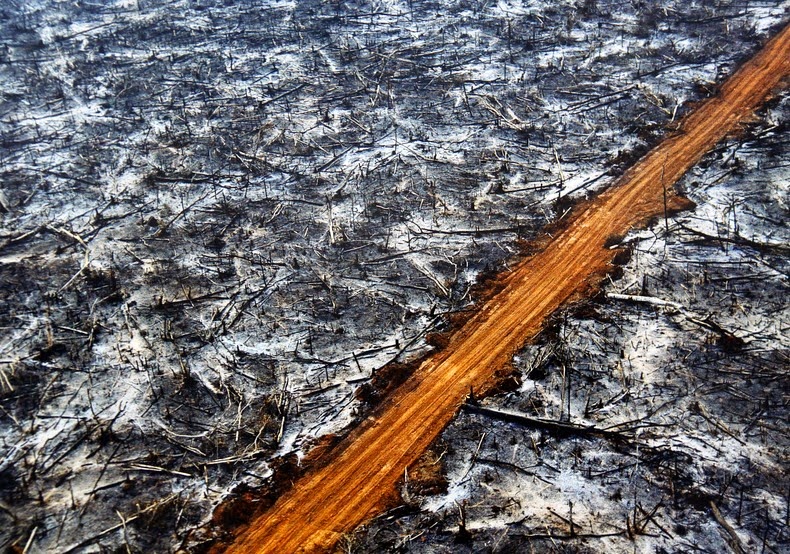 kemusnahan hutan amazon