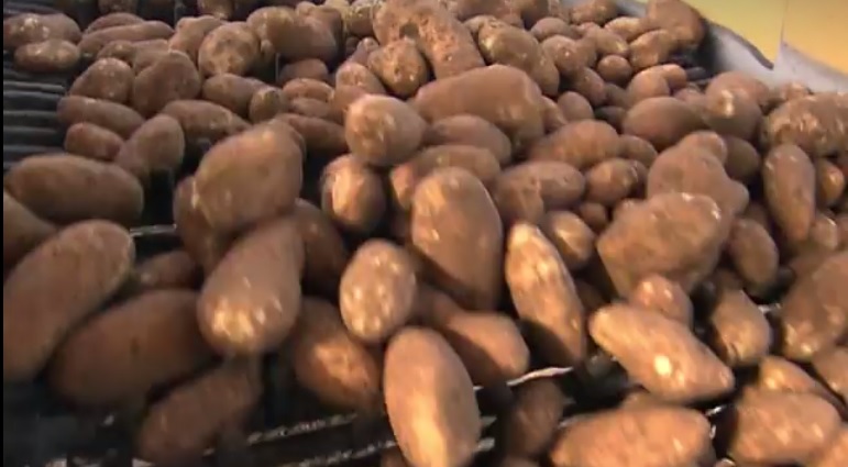 kentang goreng mcd