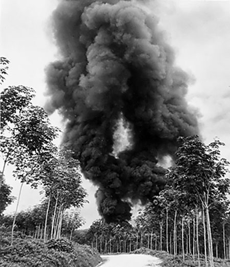 kepulan asap daripada kebakaran ladang getah di malaysia disember 1941