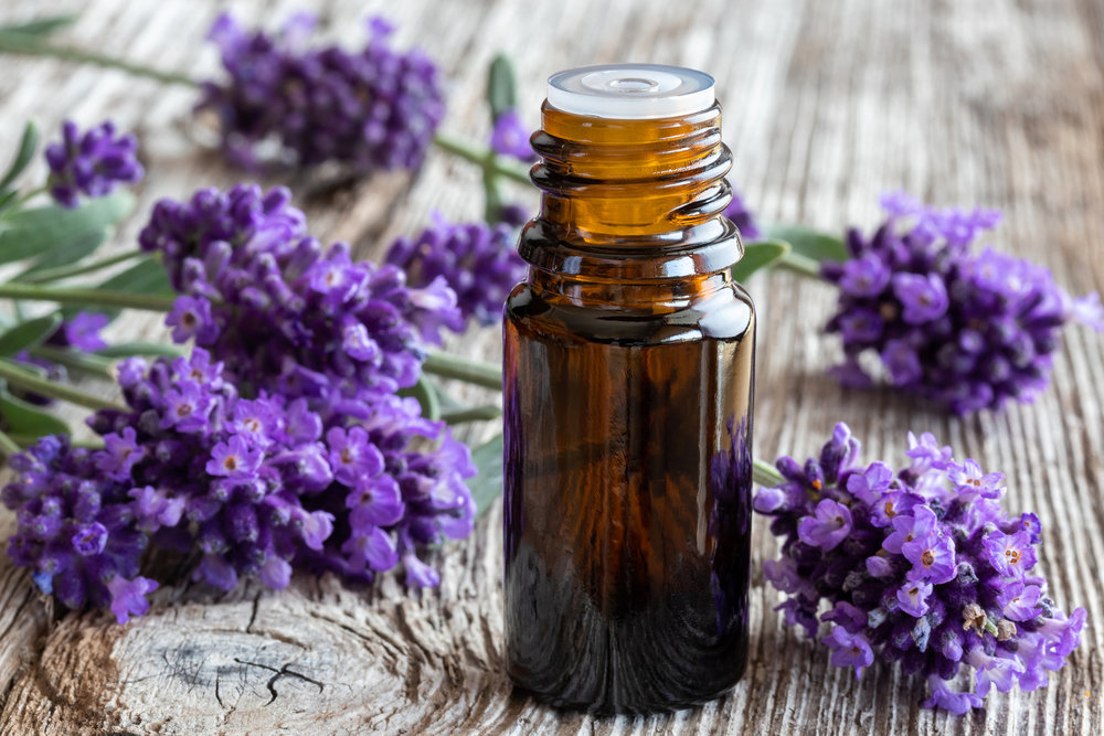 kesan sampingan minyak pati lavender