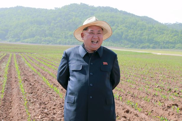 kim jong un di ladang kebun korea utara