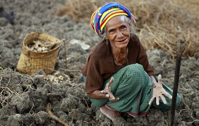 krisis kelaparan di timor leste
