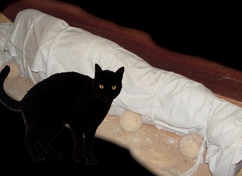 kucing hitam langkah mayat