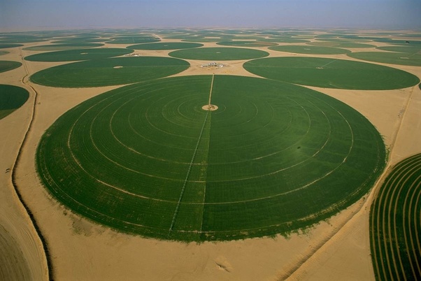 ladang pertanian arab saudi bulat