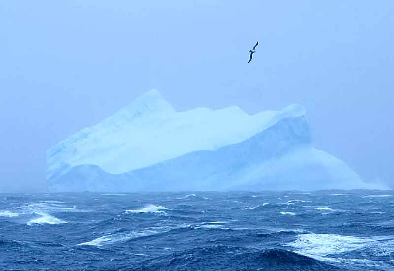 lautan selatan antartika