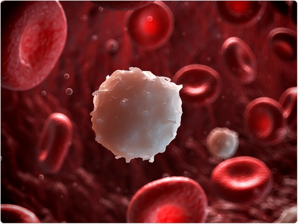 leukemia penyakit sel darah putih