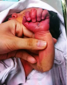 li zhenghua mengigit tangan bayi yang baru dilahirkannya1
