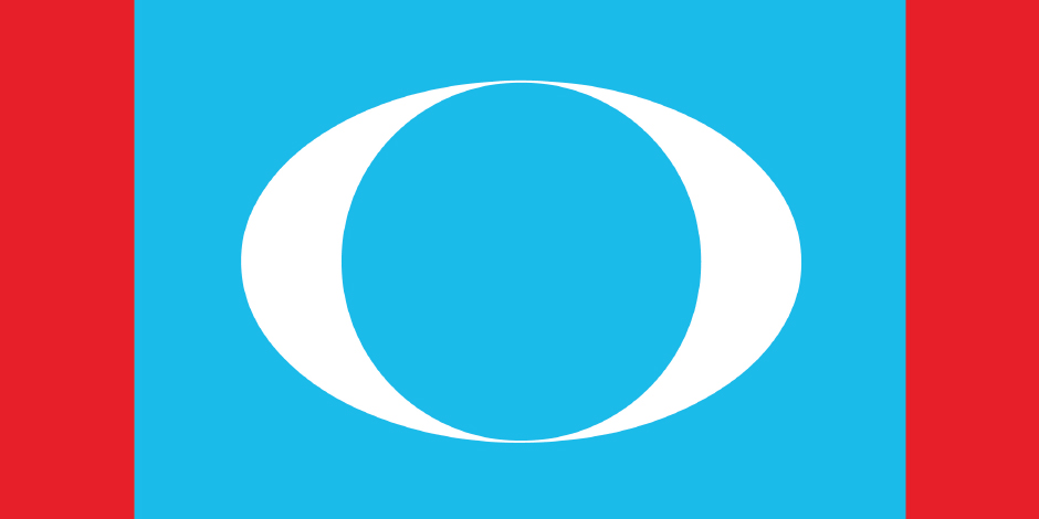 Logo Parti Politik Malaysia : Penggunaan logo parti politik sendiri