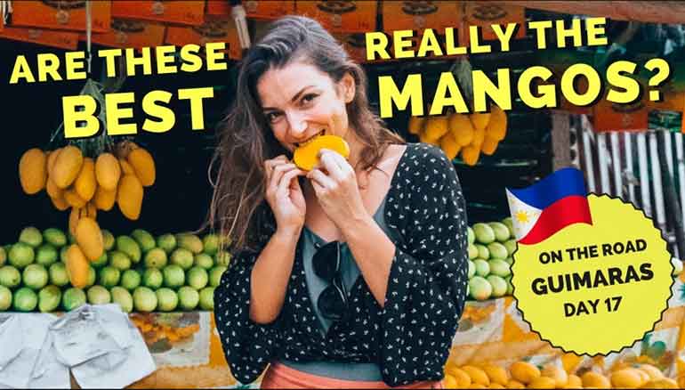 mango guimaras best in the world