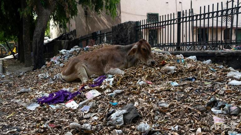 masalah sampah di india