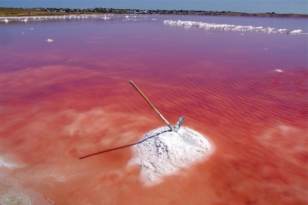 masazir lake tasik pink yang banyak belerang di azerbajian