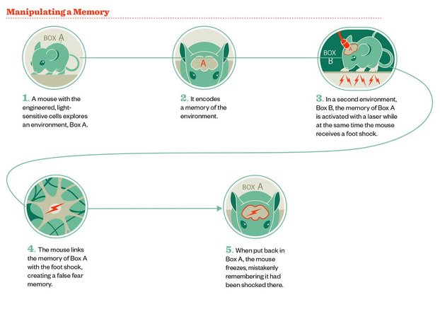 memanipulasi memori palsu dalam otak tikus 859