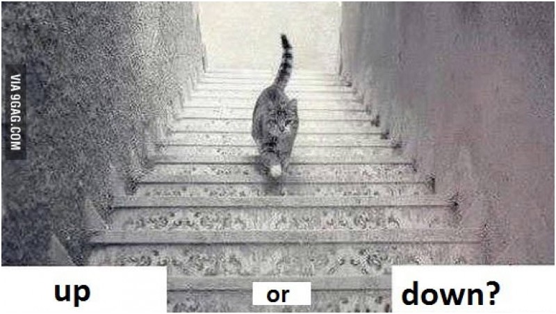 memes kucing naik tangga 9gag