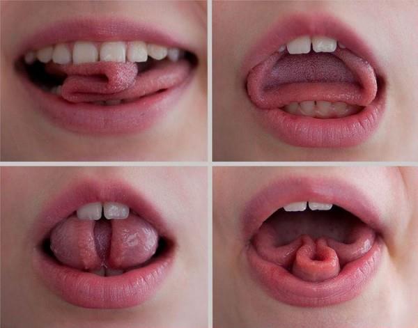 menggulung lidah hasil genetik
