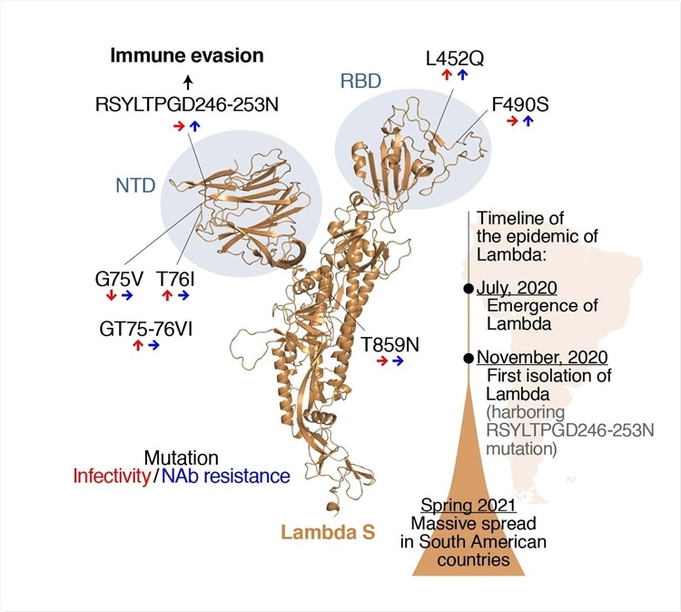 mutasi varian lambda coronavirus