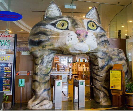 muzium kucing yang perlu dilawati oleh peminat kucing 3