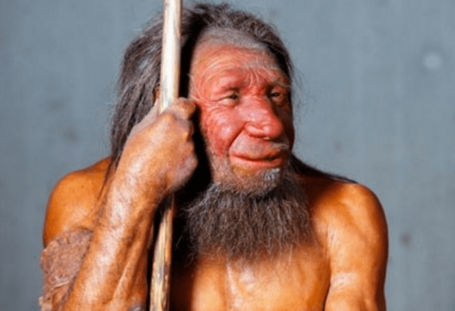 orang neanderthal