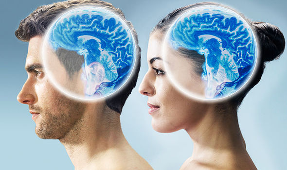 otak wanita lebih cekap berbanding otak lelaki