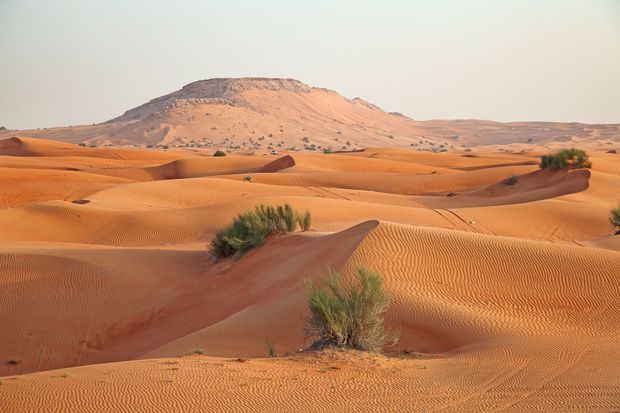 padang pasir arab