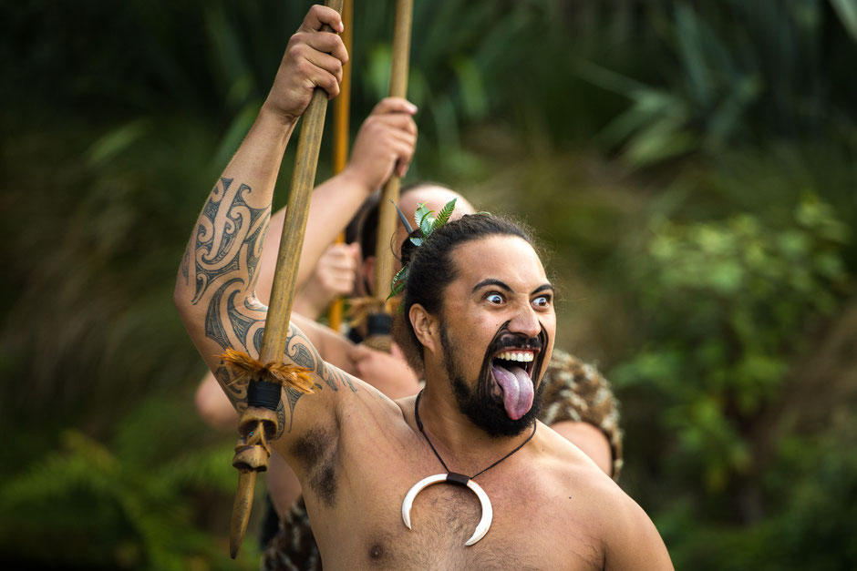 pahlawan maori