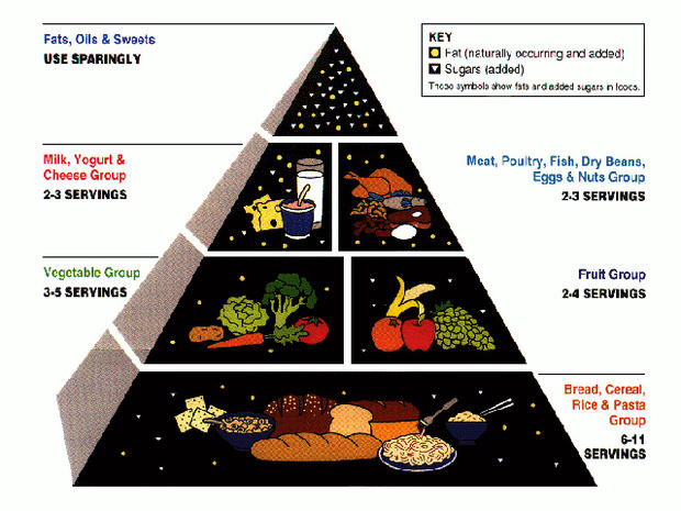 panduan pemakanan piramid makanan yang mengelirukan