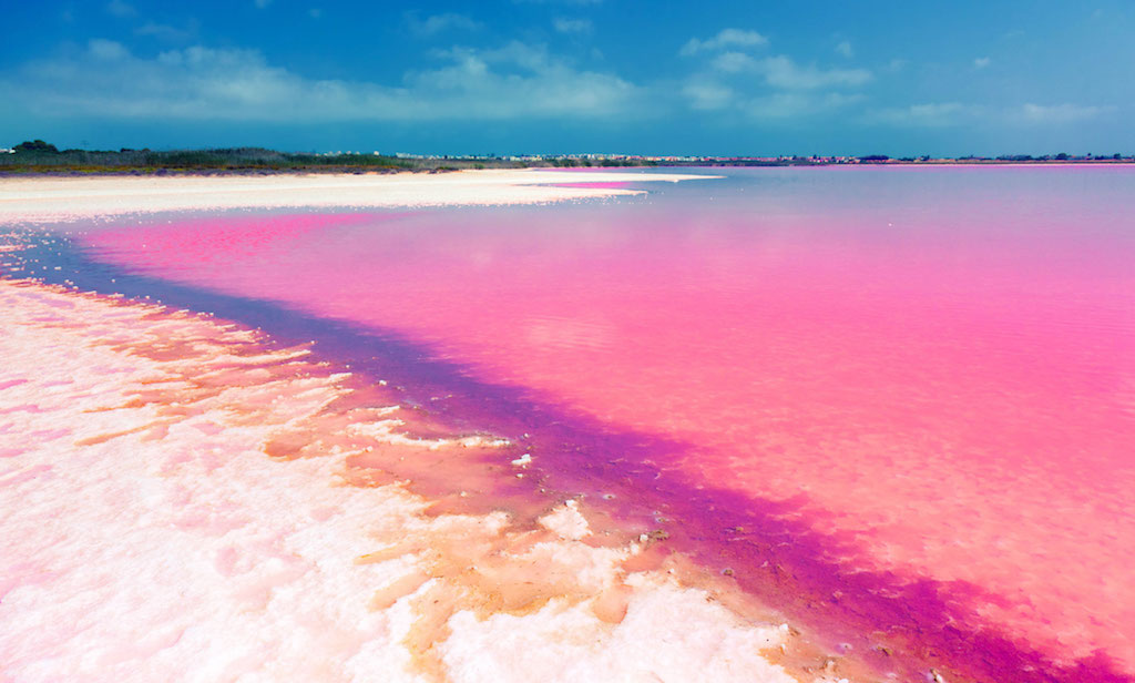 pantai pasir merah jambu