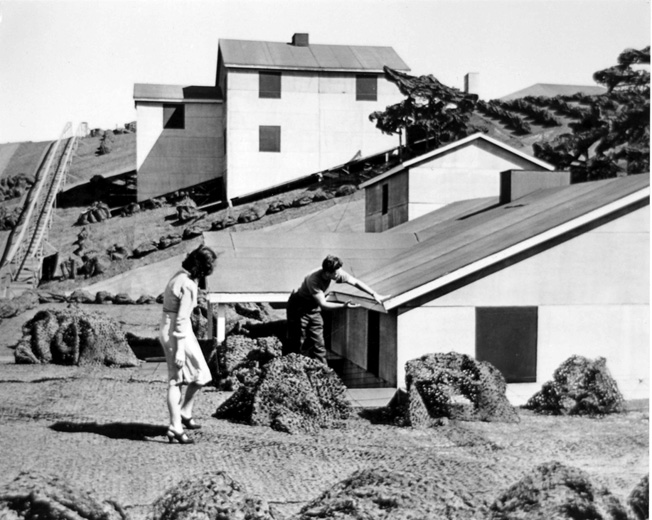 para pekerja sedang memeriksa bumbung rumah di wonderland