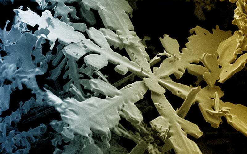 partikel salji bawah mikroskop