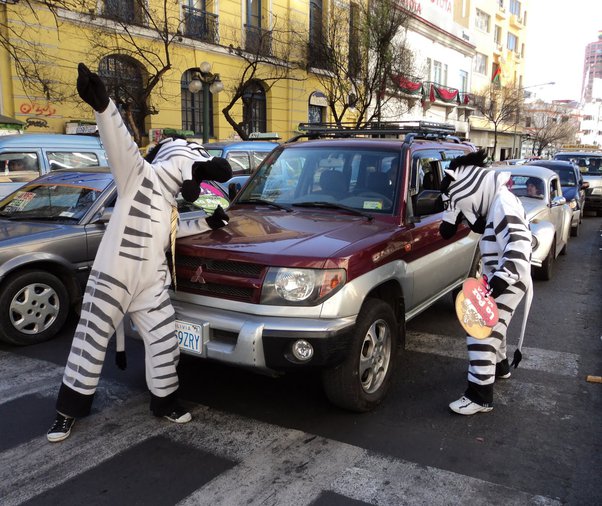 pegawai trafik maskot zebra di bolivia