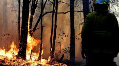 pembakaran dengan sengaja punca hutan australia terbakar