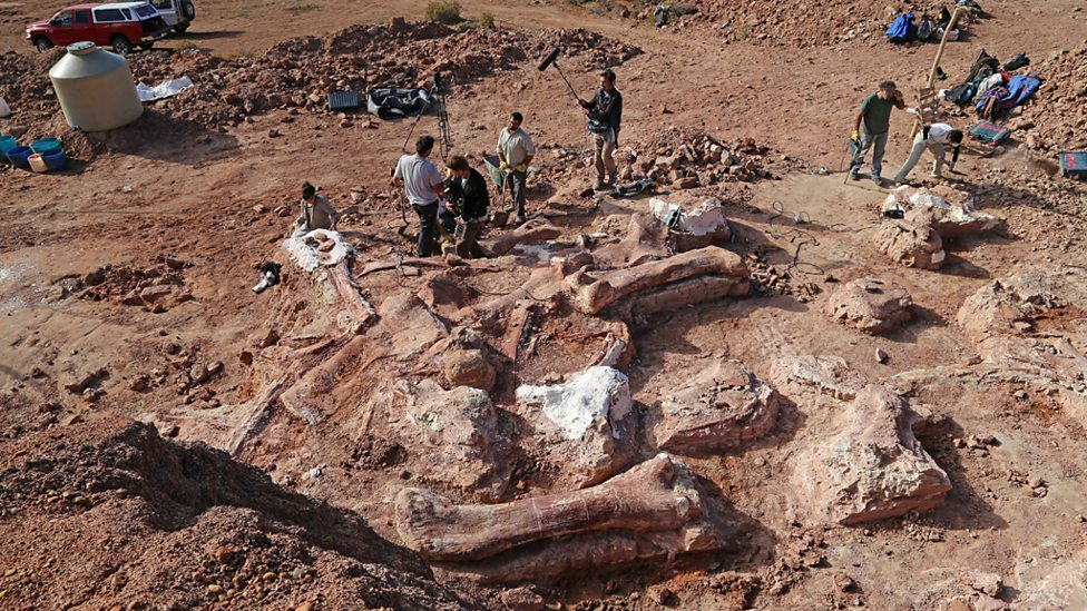 penggalian fosil dinosaur