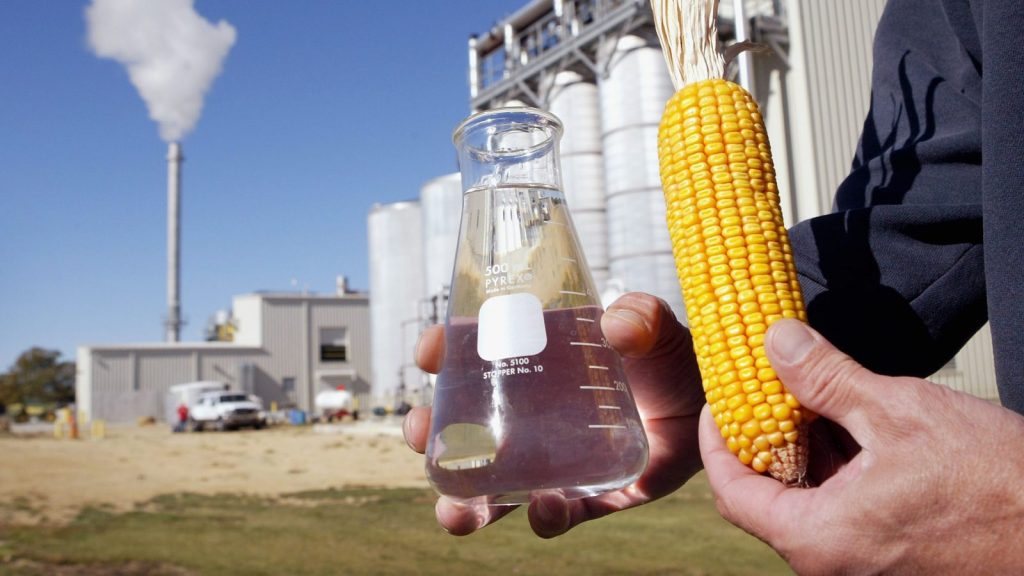 penghasilan etanol dari jagung merosakkan alam sekitar