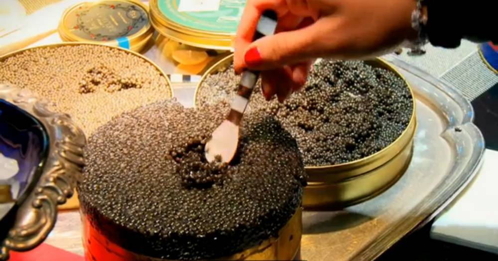 proses menyediakan caviar