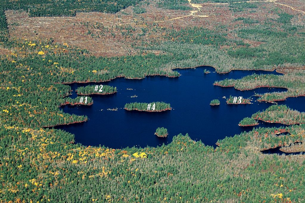 pulau sheep lake untuk dijual di kanada