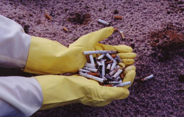 puntung rokok mencemarkan alam sekitar
