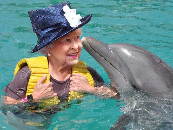 ratu elizabeth dolphin