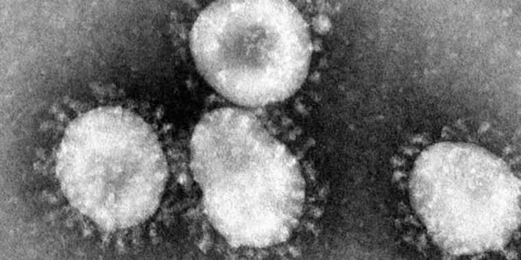 rupa coronavirus
