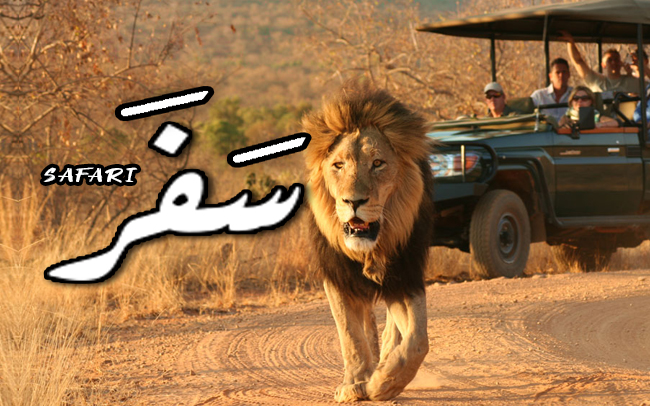 safari perkataan inggeris dari arab