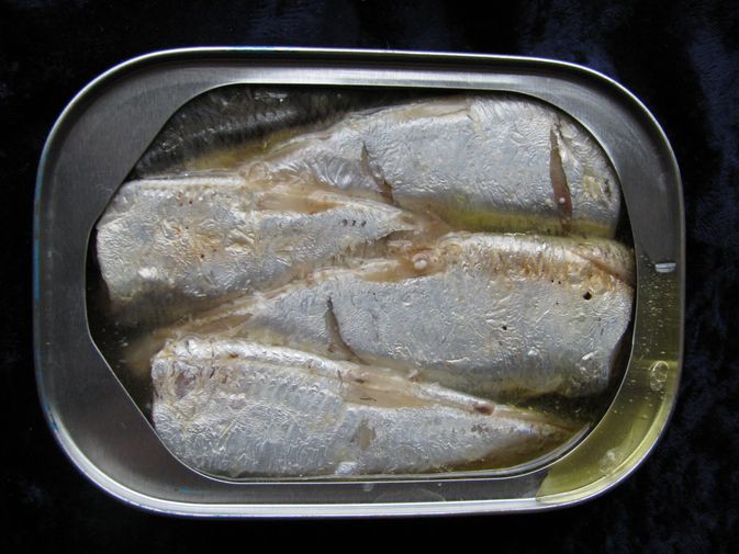 sardin dalam air