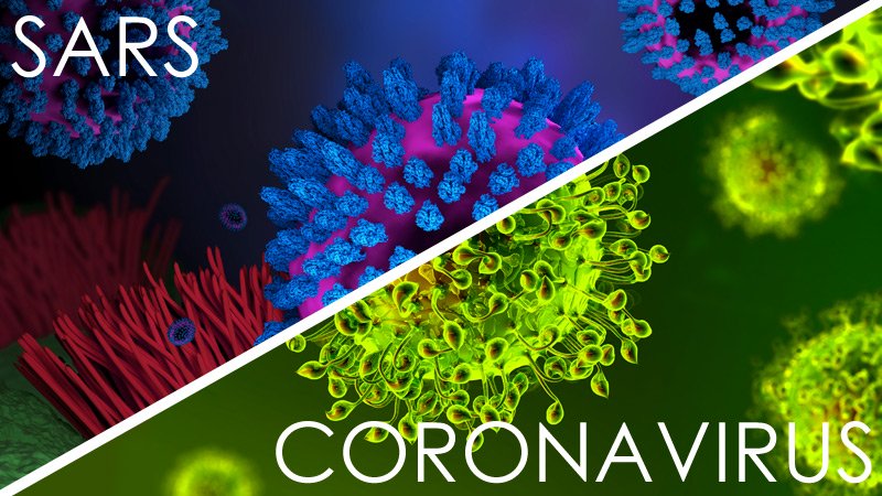 sars vs coronavirus